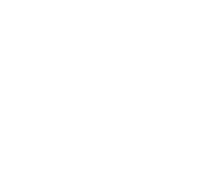 Logo TeamNL - Missie H2